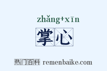 掌心是什么意思的图片